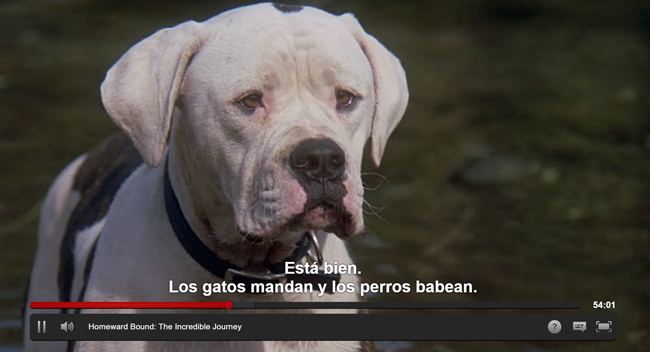 homeward-bound-subtitles.jpg